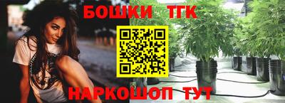 молекула духа Лесосибирск